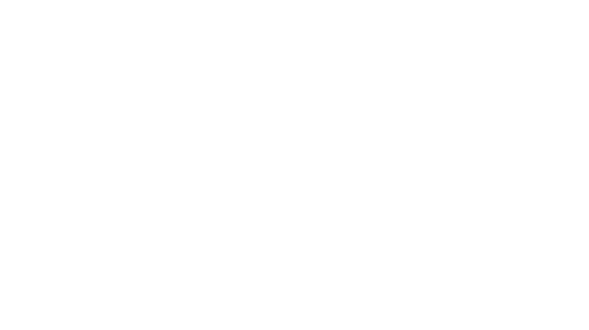 logo-vettoriale-white